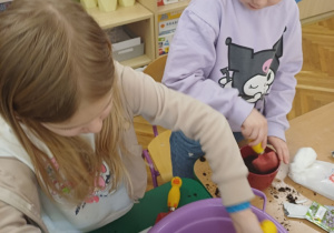 Wiosenny kącik przyrody- Wiewiórki! Mały Eksperymentator!