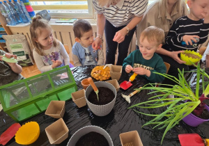Niedźwiadki- mali ogrodnicy!