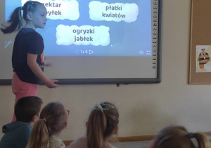 Bzycząca przygoda- Dzień pszczoły w Jeżykach!
