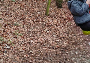 Ślimaczki na wycieczce do Leśnego Zakątka w Bolimowie!