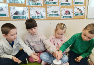 Podsumowanie akcji GORĄZKA ZŁOTA!