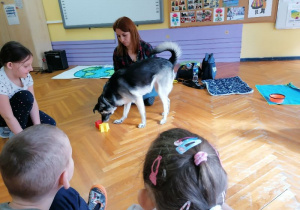 Ostatnie zajęcia z dogoterapii w Wiewiórkach