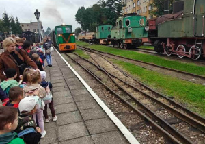 Ślimaczki, Mróweczki i Jeżyki na kolejowej przygodzie!