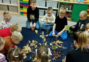 SÓWKI- WITAJĄ JESIEŃ !