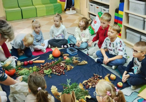 SÓWKI- WITAJĄ JESIEŃ !