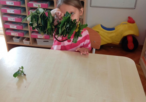 Jesień w Mróweczkach