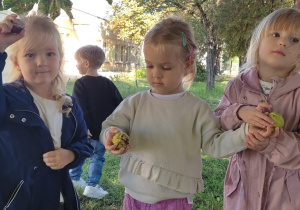 „Niedźwiadki” na tropie jesieni!