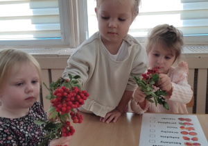 „Niedźwiadki” na tropie jesieni!