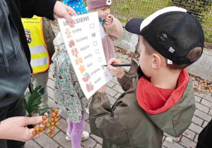 Ślimaczki w poszukiwaniu jesieni!