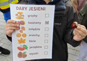 Ślimaczki w poszukiwaniu jesieni!