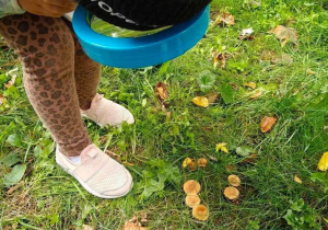 Ślimaczki w poszukiwaniu jesieni!