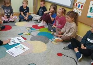 Sówki magiczny kuferek zawodów