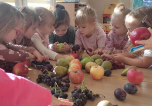 Owocowe królestwo małych ,,Niedźwiadków”!