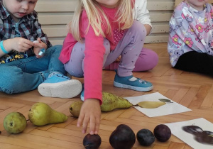 Owocowe królestwo małych ,,Niedźwiadków”!