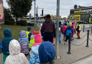 Sówki skrzyżowanie