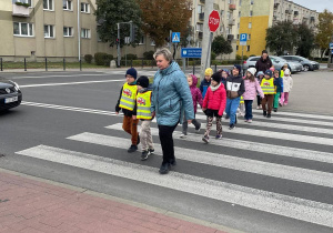 Sówki skrzyżowanie