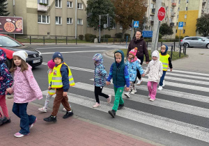 Sówki skrzyżowanie