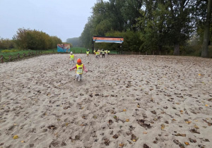Mróweczki Błonie