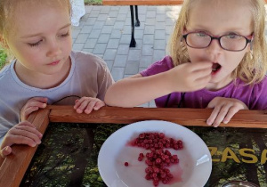 Mróweczki- MAŁY HODOWCA, zajęcia w ogrodzie pięciu zmysłów!