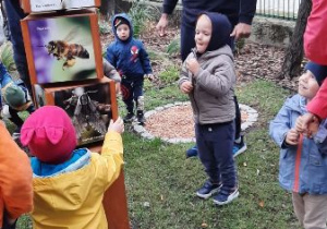 zajęcia otwarte dla rodziców NIEDŹWIADKI