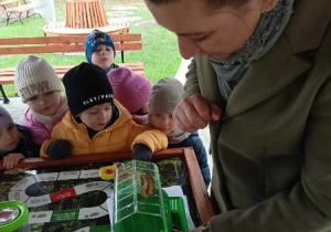 "Owady- mieszkańcy naszego ogrodu- zobacz, posłuchaj, dotknij, chroń."