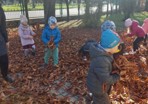 ROŚLINY CZTERECH PÓR ROKU- zajęcia Sówek w Ogrodzie Pięciu Zmysłów!