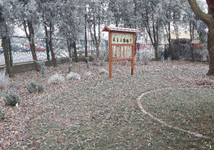 Ogród Pięciu Zmysłów otulony szronem!