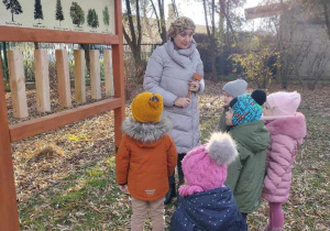 "Dendrofon- właściwości rezonasowe drewna"-Mróweczki