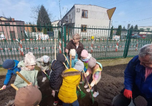 Sówki sadziły śliwowiśnie w ogródku przed przedszkolem!