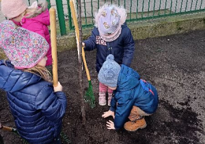Mróweczki sadziły Sliwowiśnie w ogródku przed przedszkolem!